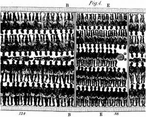 Plano de Aula - A escravidão no Brasil