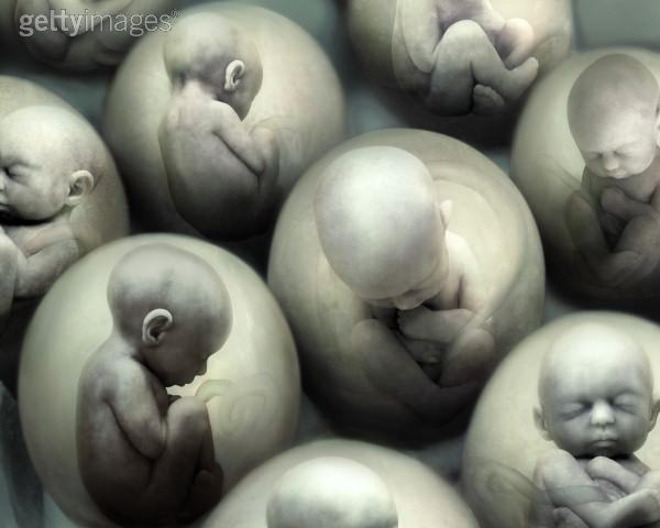 aborto 1