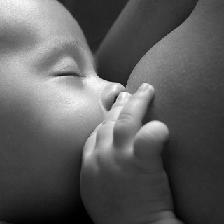 licenca maternidade