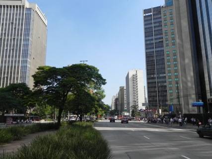 pinheiros