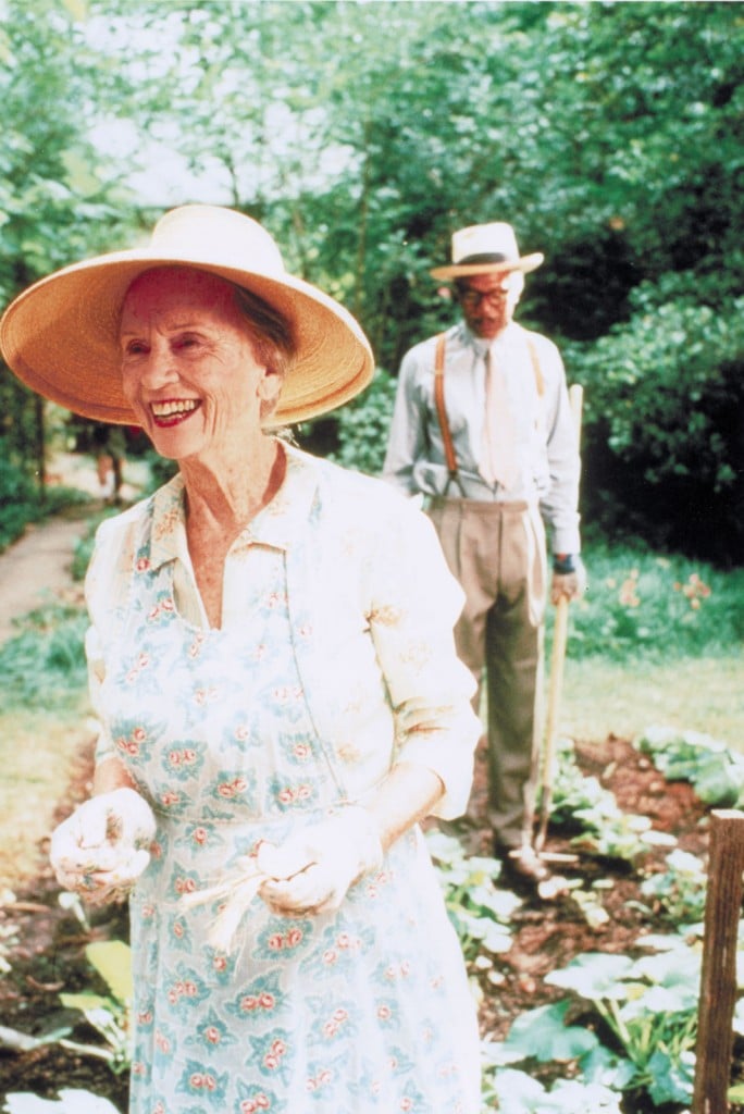 conduzindo-miss-daisy-684x1024
