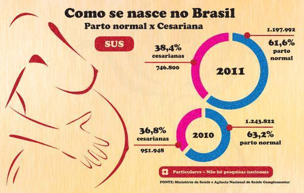 grafico1 c
