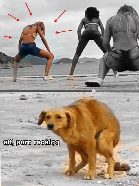 bonde-do-recalque