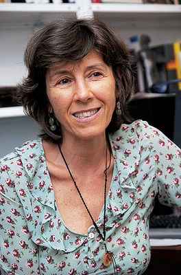 O fio que dá sentido à vida Maria Rita Kehl Geledés