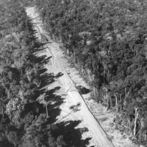 Amazonas