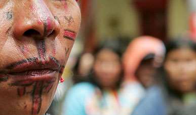 indigena
