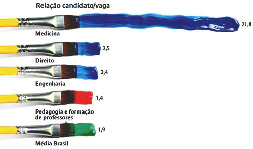 Fonte: Censo da Educação Superior 2009.