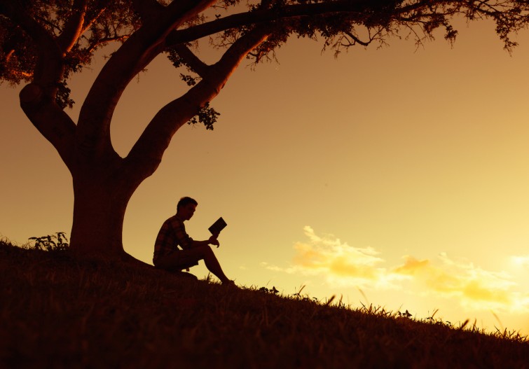 como-escrever-um-artigo-perfeito-melhorar-leitura
