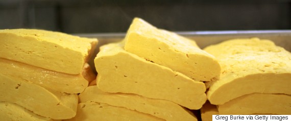 Curds during the cheese making process