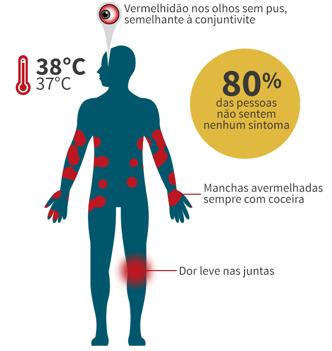 imagem1