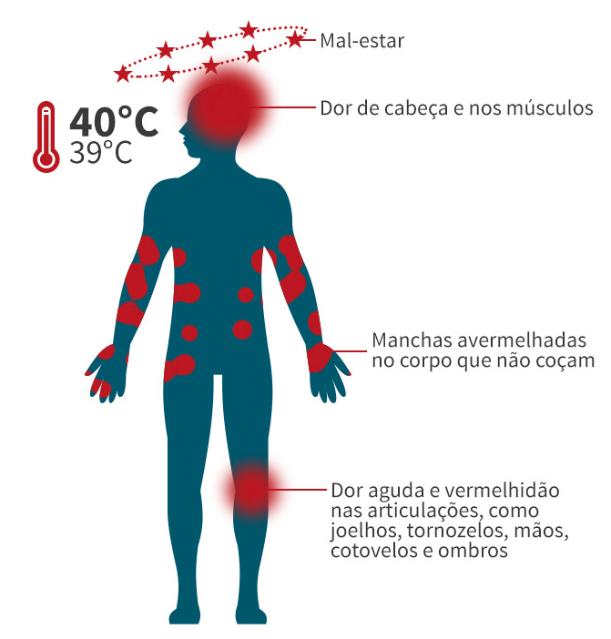 imagem3