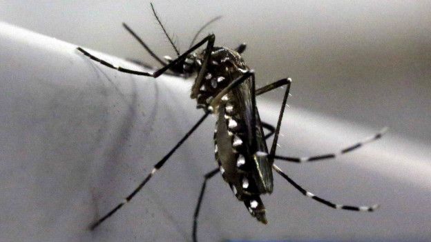 zika3