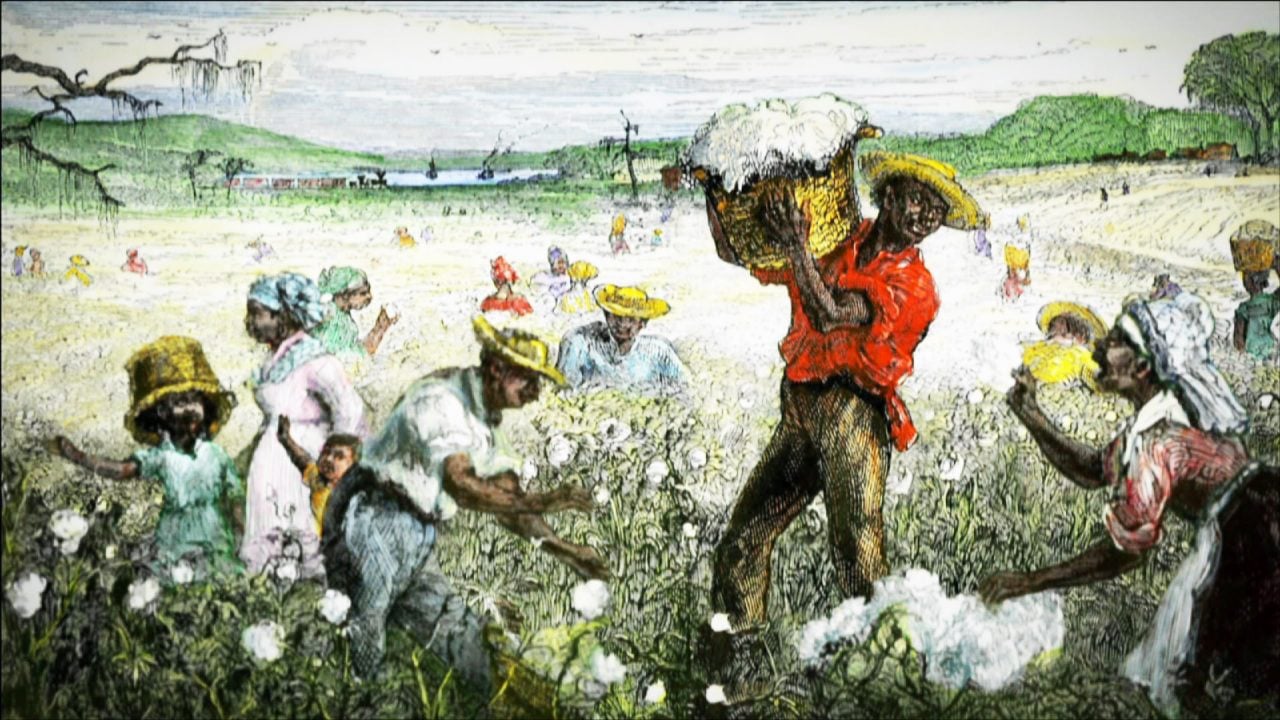 Cotton-slavary