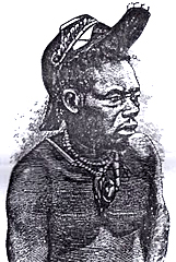 caungula032
