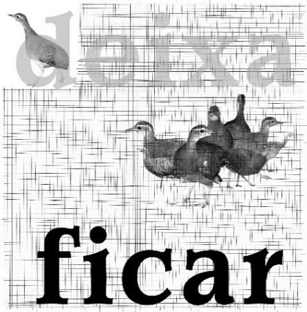 3. Escravos de Jó. Aline Mota, 2016.