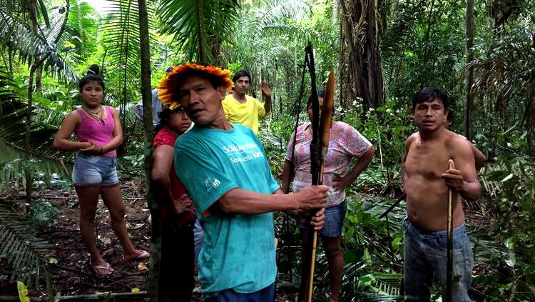URU-EU-WAU-WAU: Terra indígena é invadida por grileiros em Rondônia -  Geledés