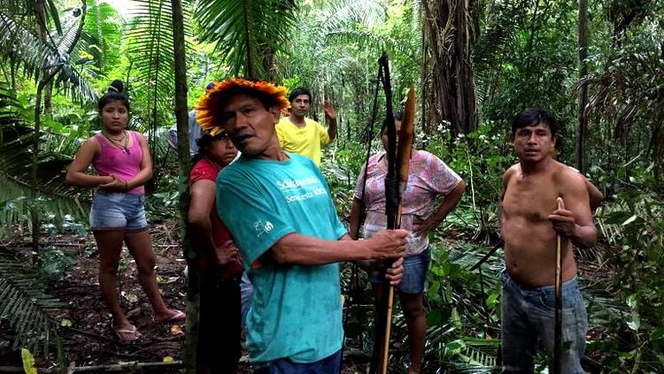 URU-EU-WAU-WAU: Terra indígena é invadida por grileiros em Rondônia -  Geledés