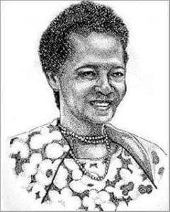 Desenho de LUÍSA MAHIN