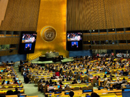 Geledés na Onu - Foto: Natália Carneiro