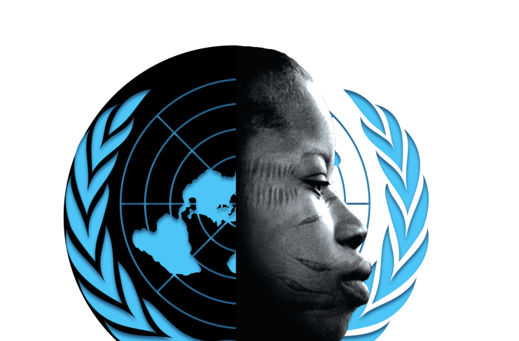 Geledés na ONU, incidencia internacional de Geledés Instituto da Mulher Negra