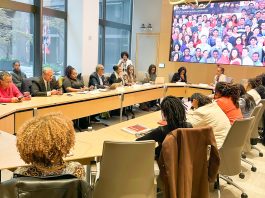 Evento promovido pela organização aconteceu em paralelo à 4ª Sessão do Fórum Permanente para Pessoas Afrodescendentes, em Nova York