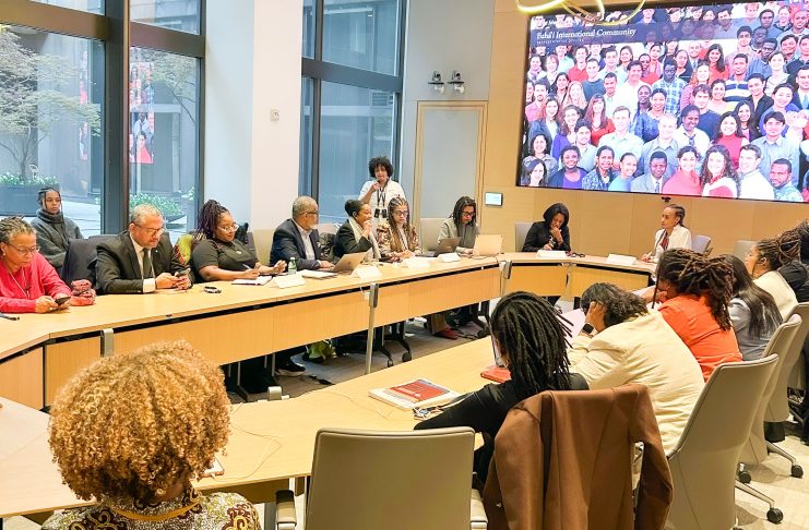 Evento promovido pela organização aconteceu em paralelo à 4ª Sessão do Fórum Permanente para Pessoas Afrodescendentes, em Nova York